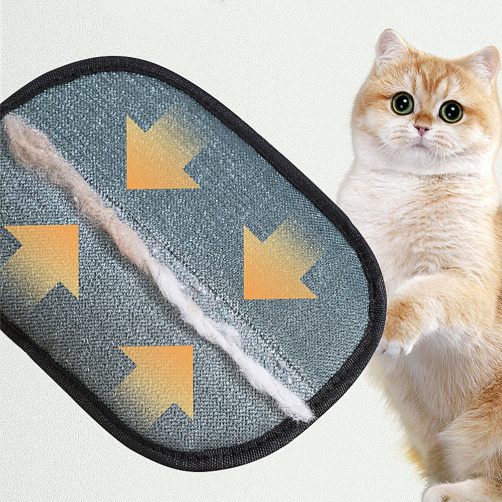 Pet Hair Remover Mit That Works On All Your Fluffy Friends
